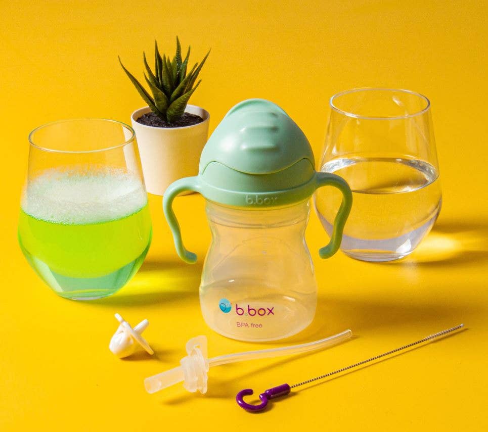 b.box USA - Sippy cup replacement straw and cleaner pack