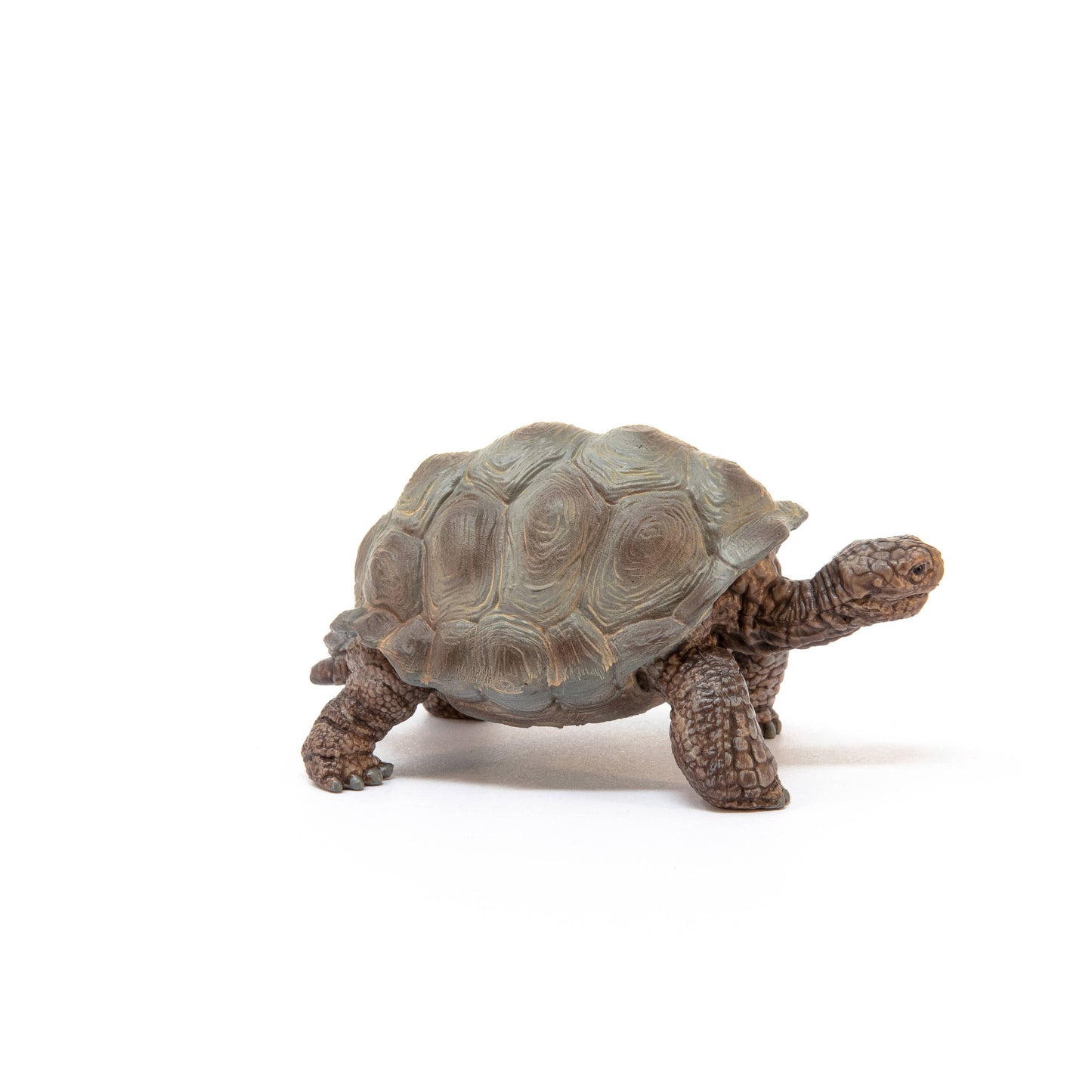 Schleich - Giant Tortoise Animal Toy