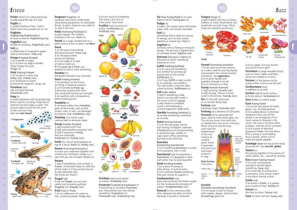 HarperCollins - Illustrated Dictionary : Usborne