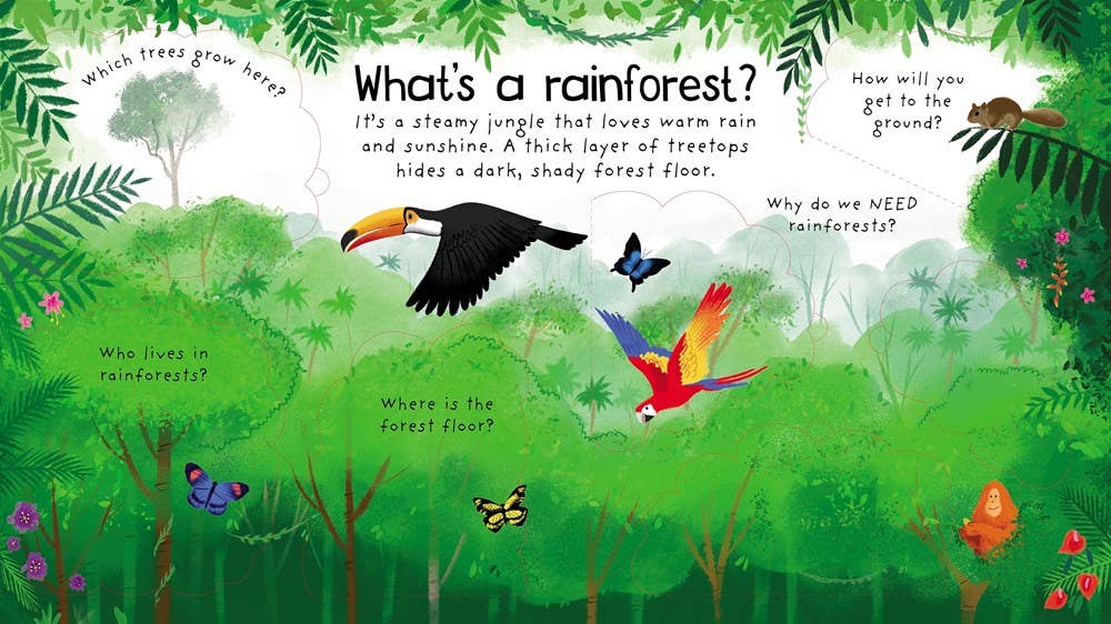 HarperCollins - First Questions and Answers: Why do we need trees?