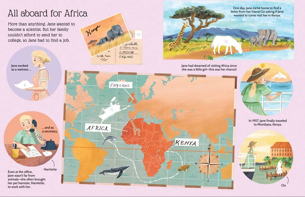 EDC Publishing - Sticker Life Stories: Jane Goodall