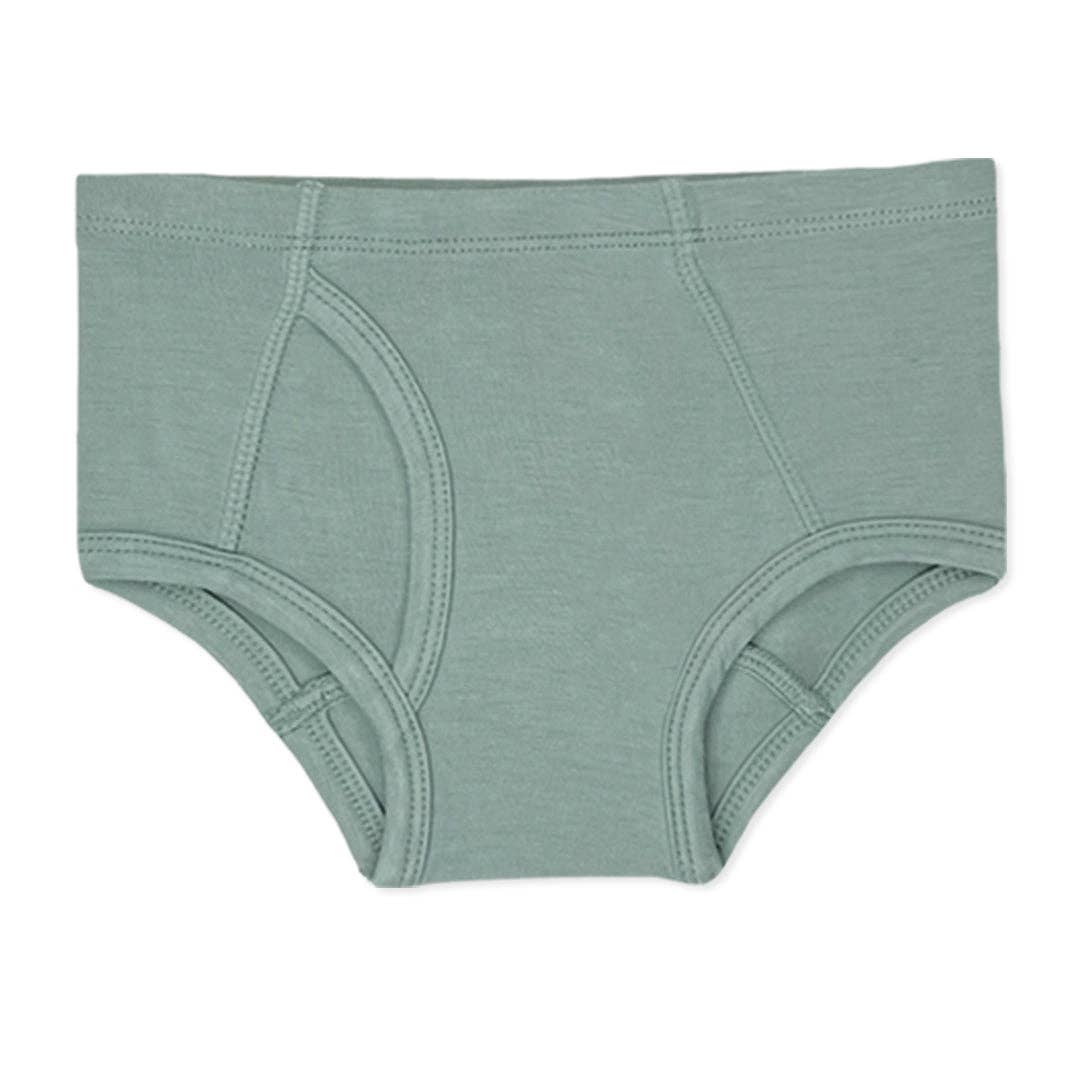 Bellabu Bear - Boy's Bamboo Underwear 7-Pack: 2/3T