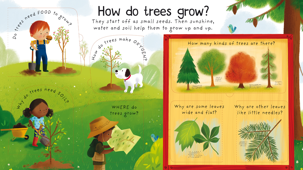 HarperCollins - First Questions and Answers: Why do we need trees?