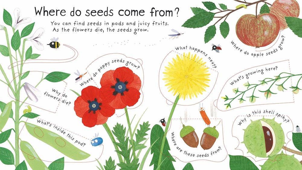 HarperCollins - First Questions and Answers: How do flowers grow?