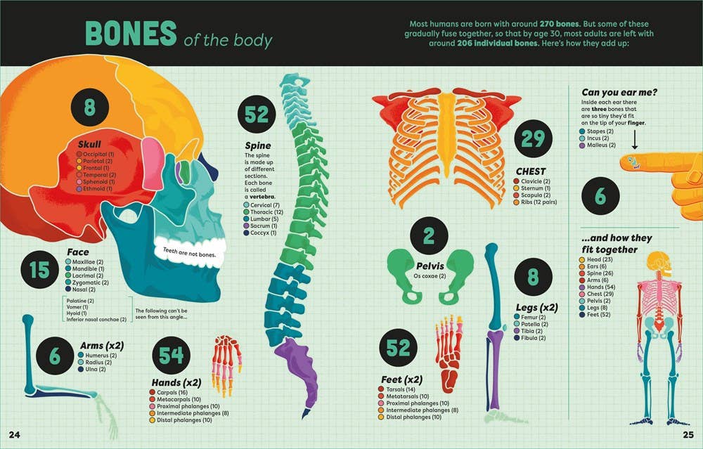 HarperCollins - Big Book Of Facts: Usborne