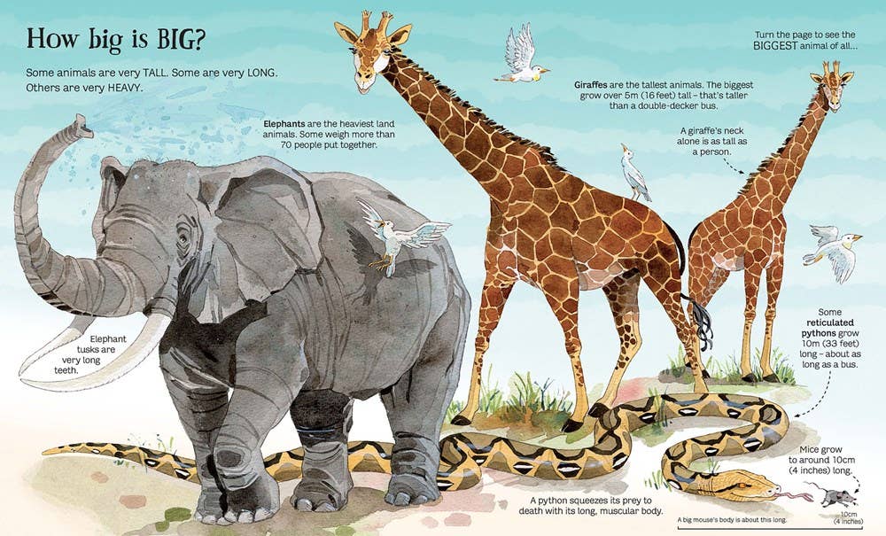 HarperCollins - Big Book of Big Animals : Usborne