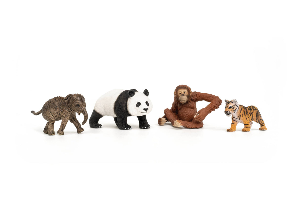 Schleich - Wild Life Asia Starter Set