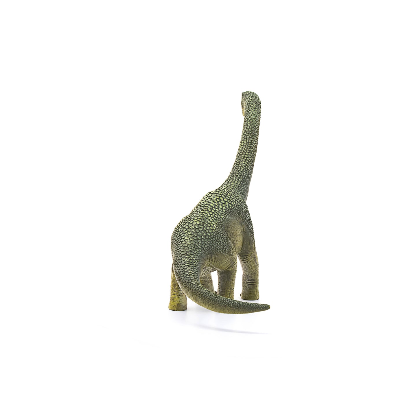 Schleich - Brachiosaurus Realistic Dinosaur Toy