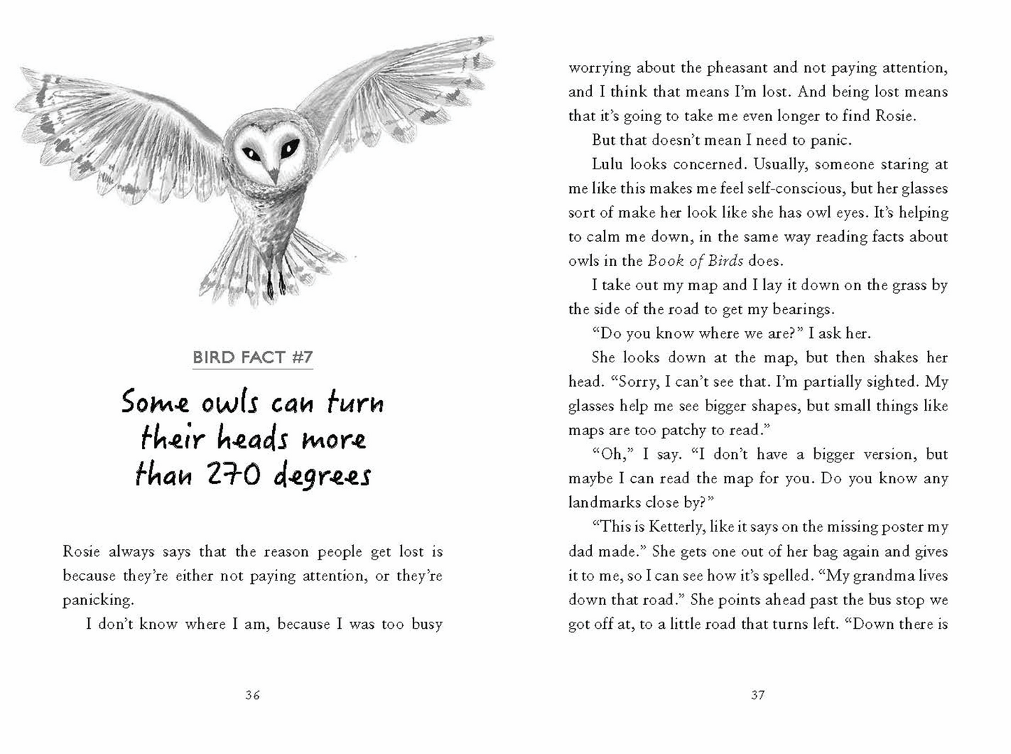 EDC Publishing - The Hunt for the Nightingale