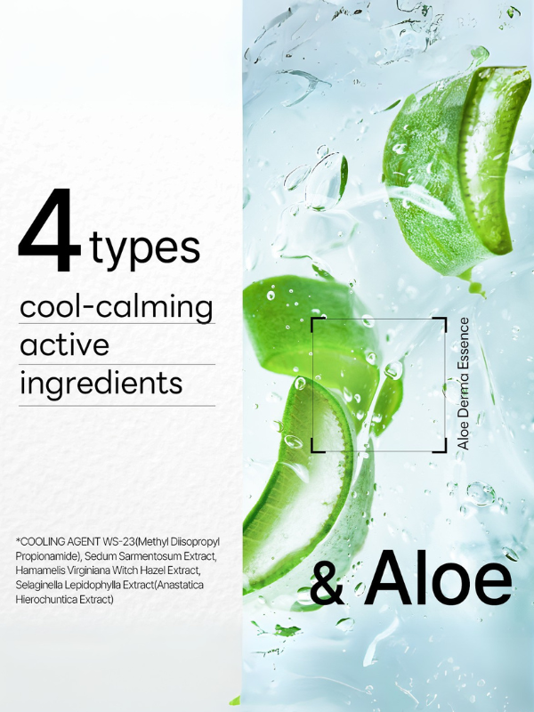Exod International - Mediheal Dermaplus Aloe Mask 22ml: 1 BOX / 10 PCS