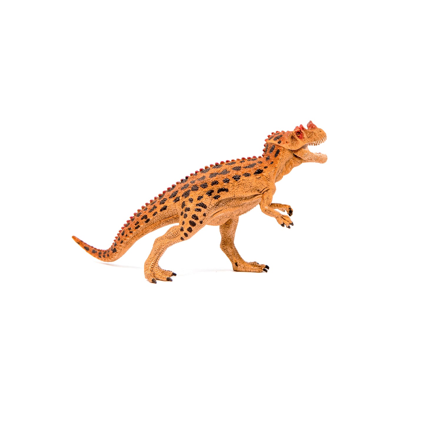 Schleich - Ceratosaurus Realistic Dinosaur Toy with Movable Jaw