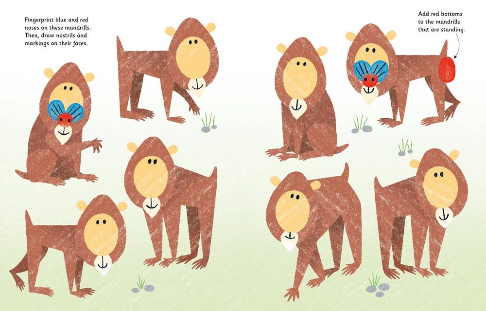 HarperCollins - Fingerprint Activities Zoo : Usborne