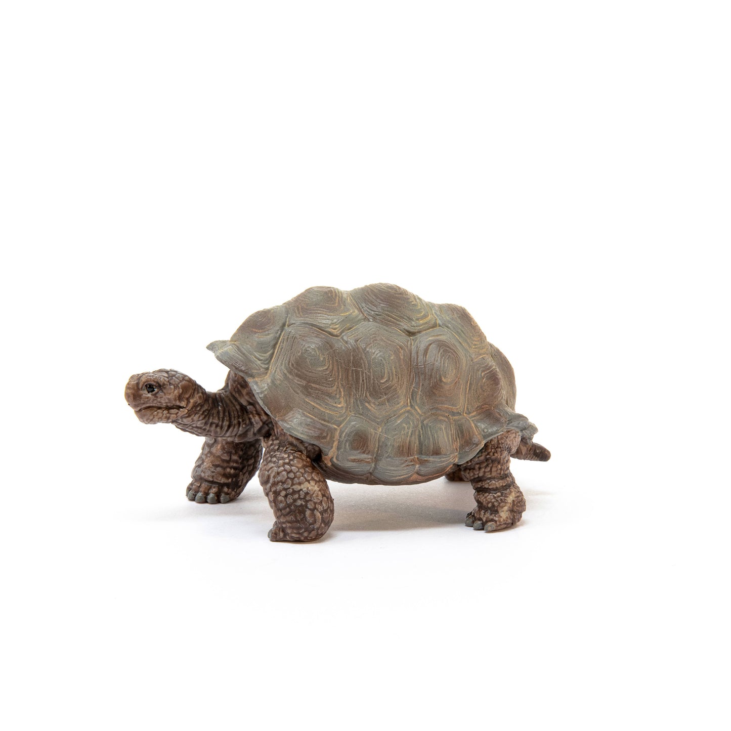 Schleich - Giant Tortoise Animal Toy