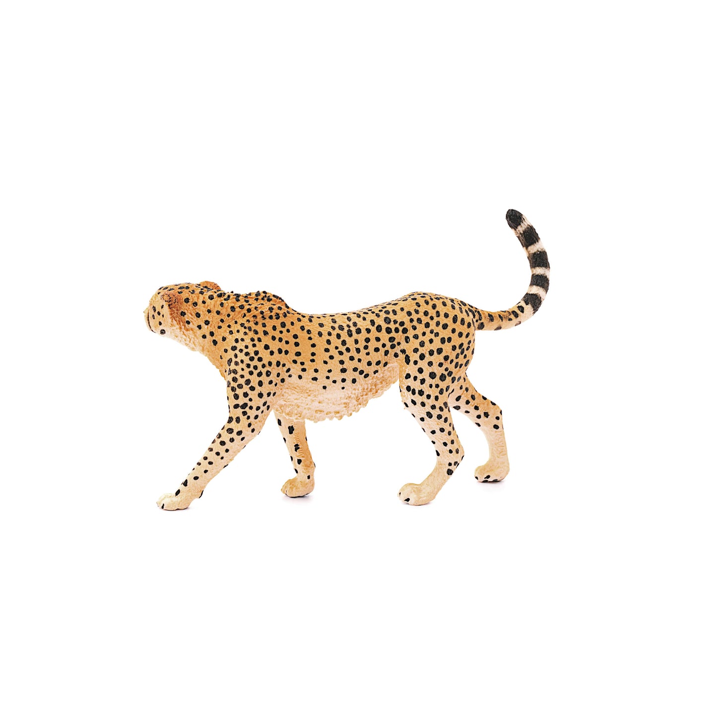 Schleich - Cheetah Female Safari Animal Toy