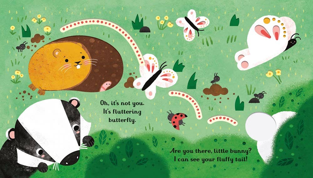HarperCollins - Are you there little Bunny? board book
