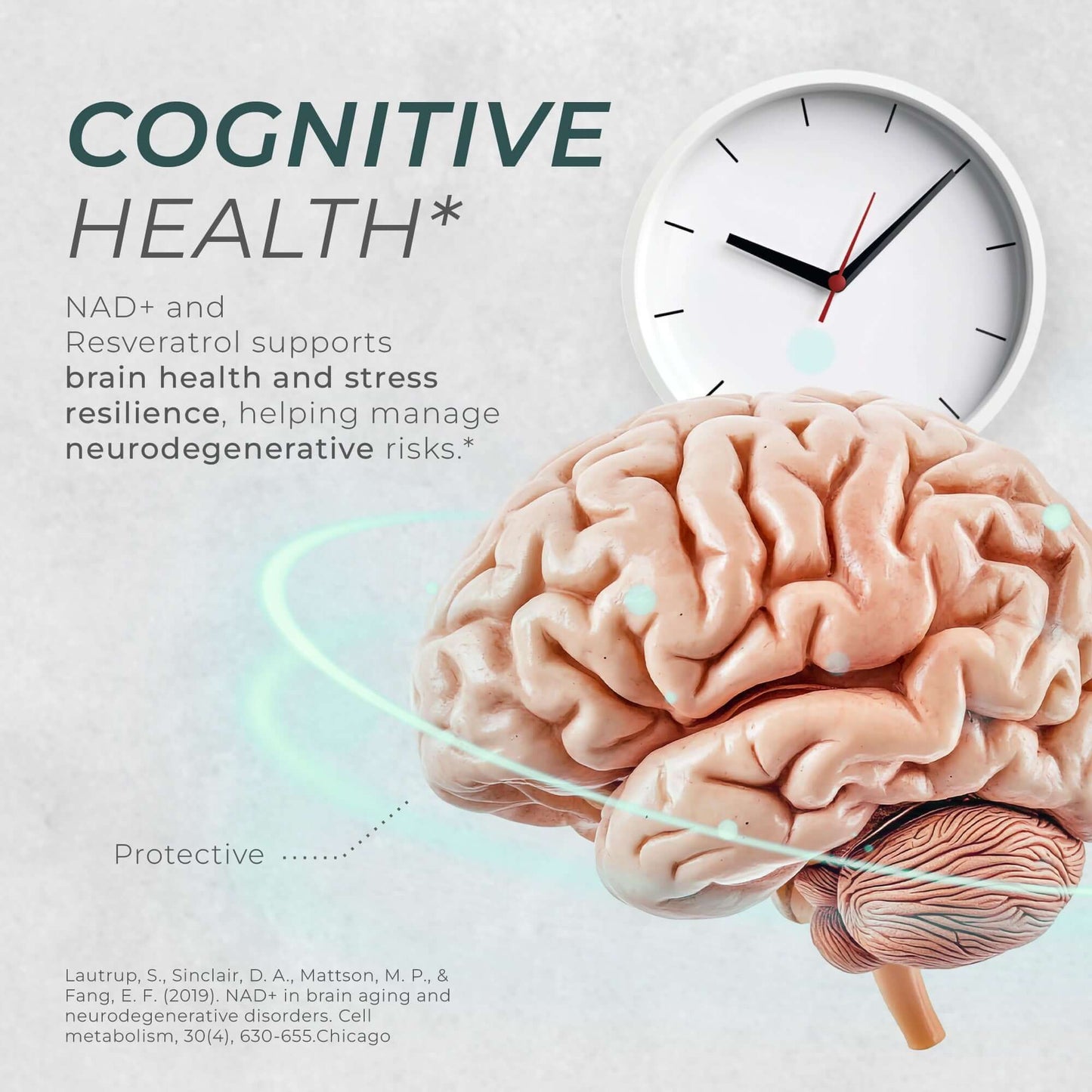 Neurogan Health - NAD + Resveratrol Capsules