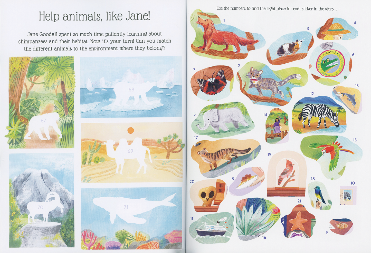 EDC Publishing - Sticker Life Stories: Jane Goodall