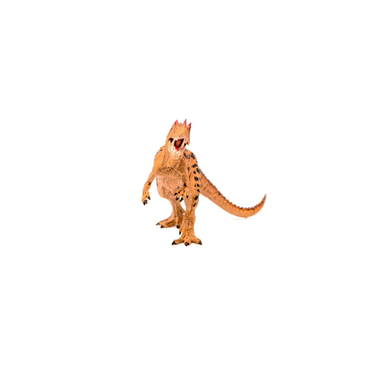 Schleich - Ceratosaurus Realistic Dinosaur Toy with Movable Jaw