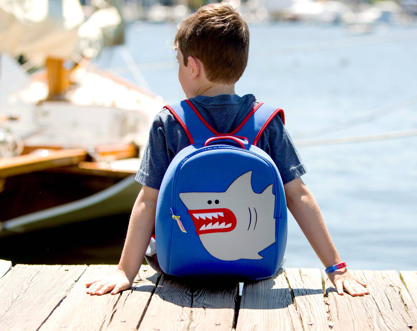 Dabbawalla Bags - Backpack - Shark