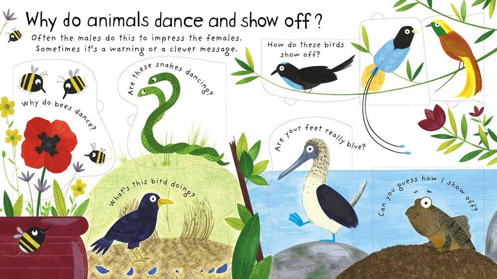 HarperCollins - First Questions and Answers: How Do Animals Talk?