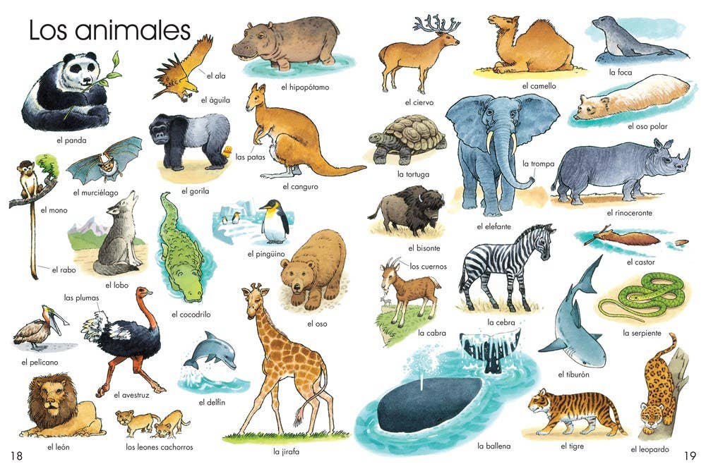 HarperCollins - First Thousand Words In Spanish : Usborne