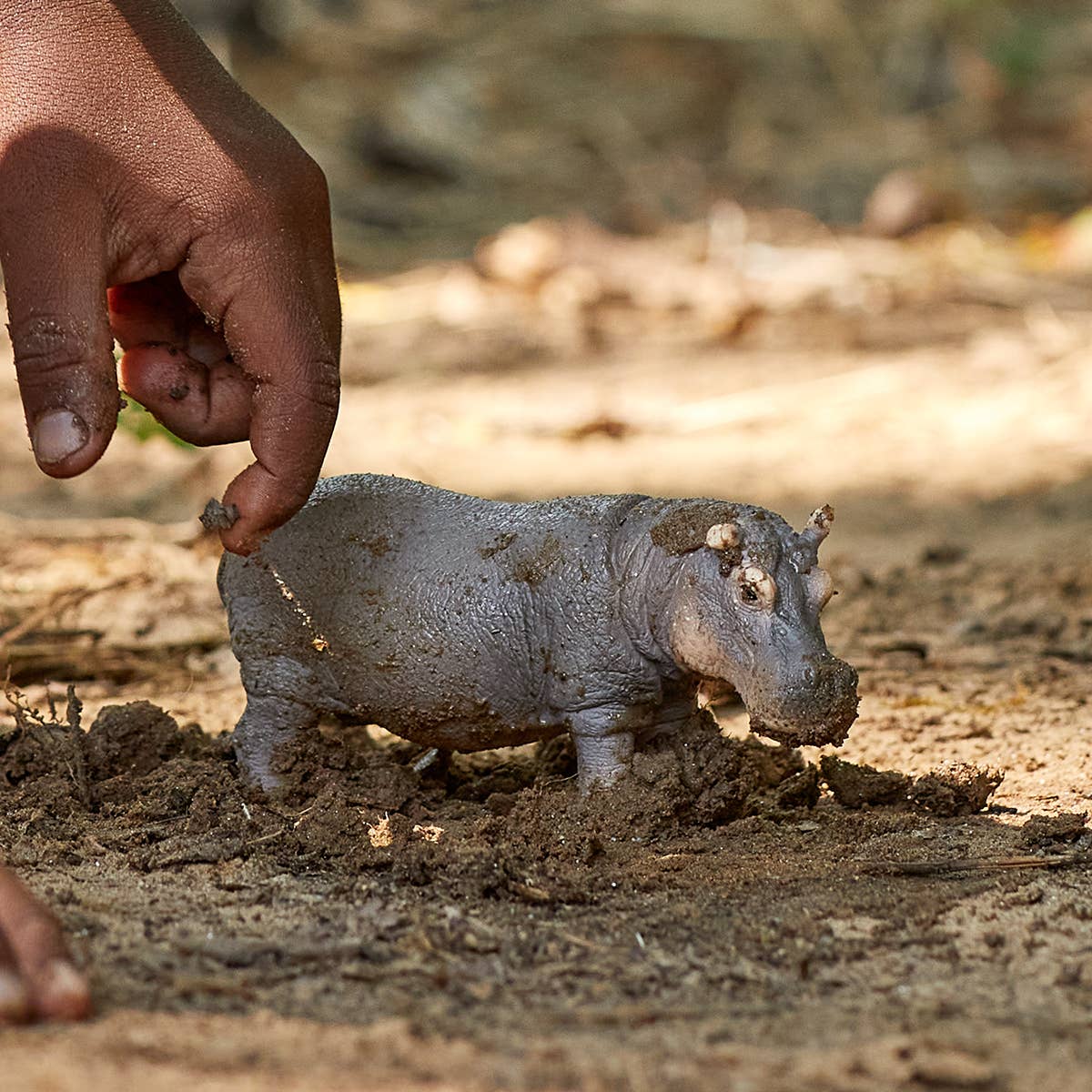 Schleich - Hippopotamus Safari Animal Toy