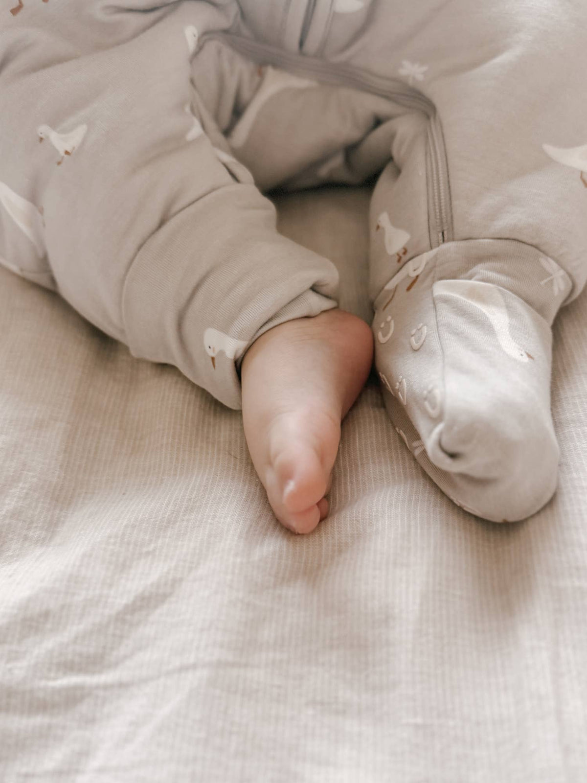 gunamuna - FW26 Long Sleeve Footie Sleep Sack 1.0: Tutu goose / 18-36m