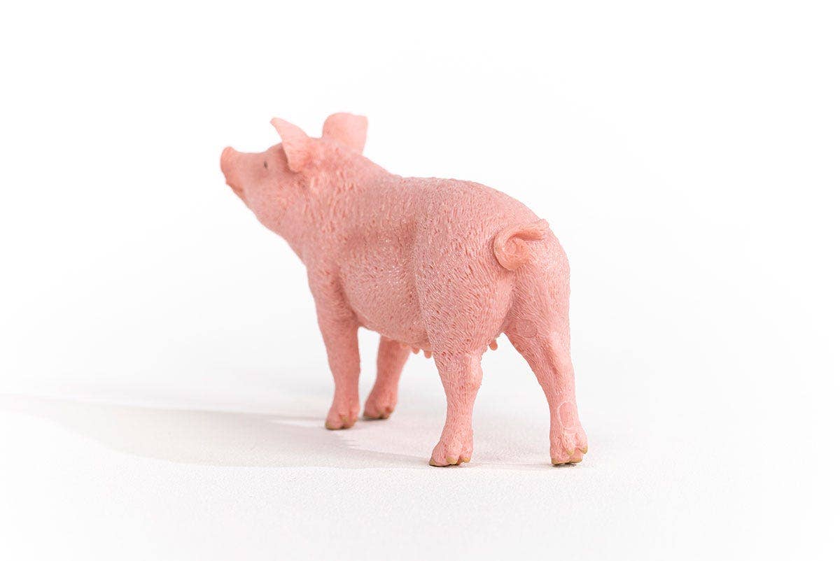 Schleich - Pig Farm Animal Toy