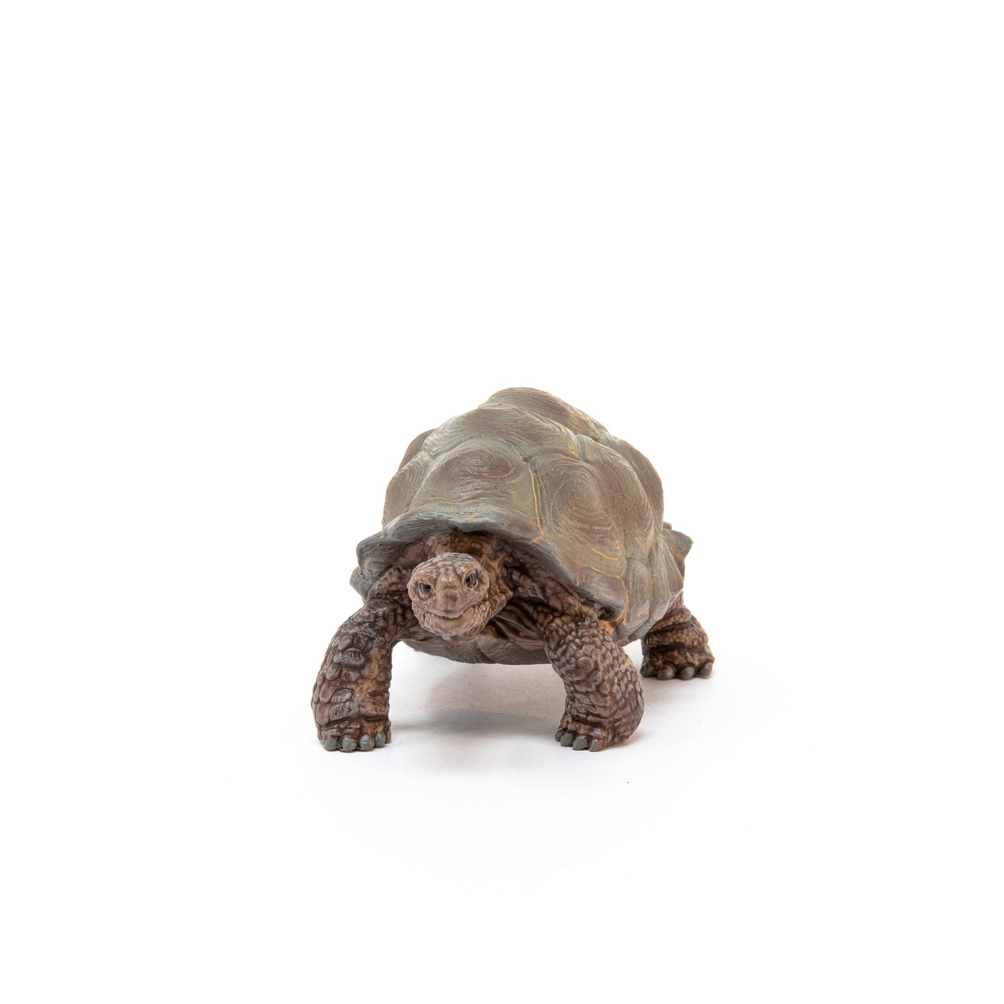 Schleich - Giant Tortoise Animal Toy