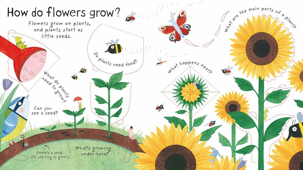 HarperCollins - First Questions and Answers: How do flowers grow?