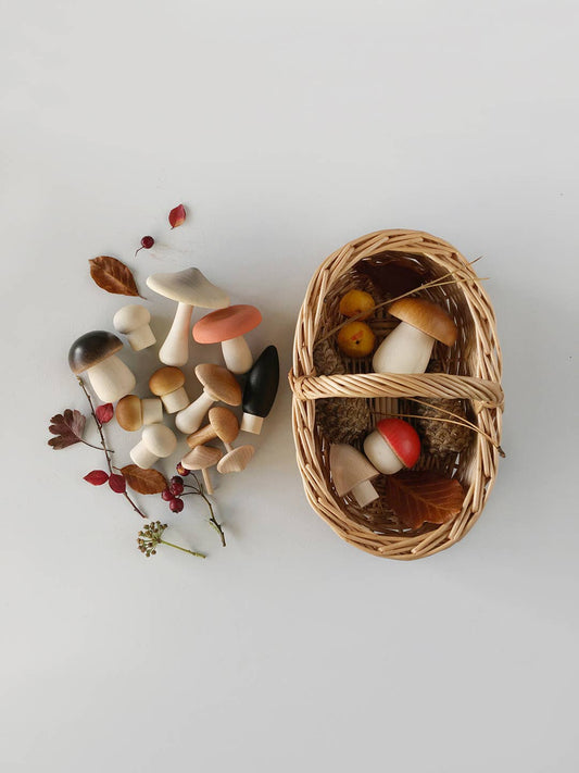 Moon Picnic - Forest Mushrooms Basket