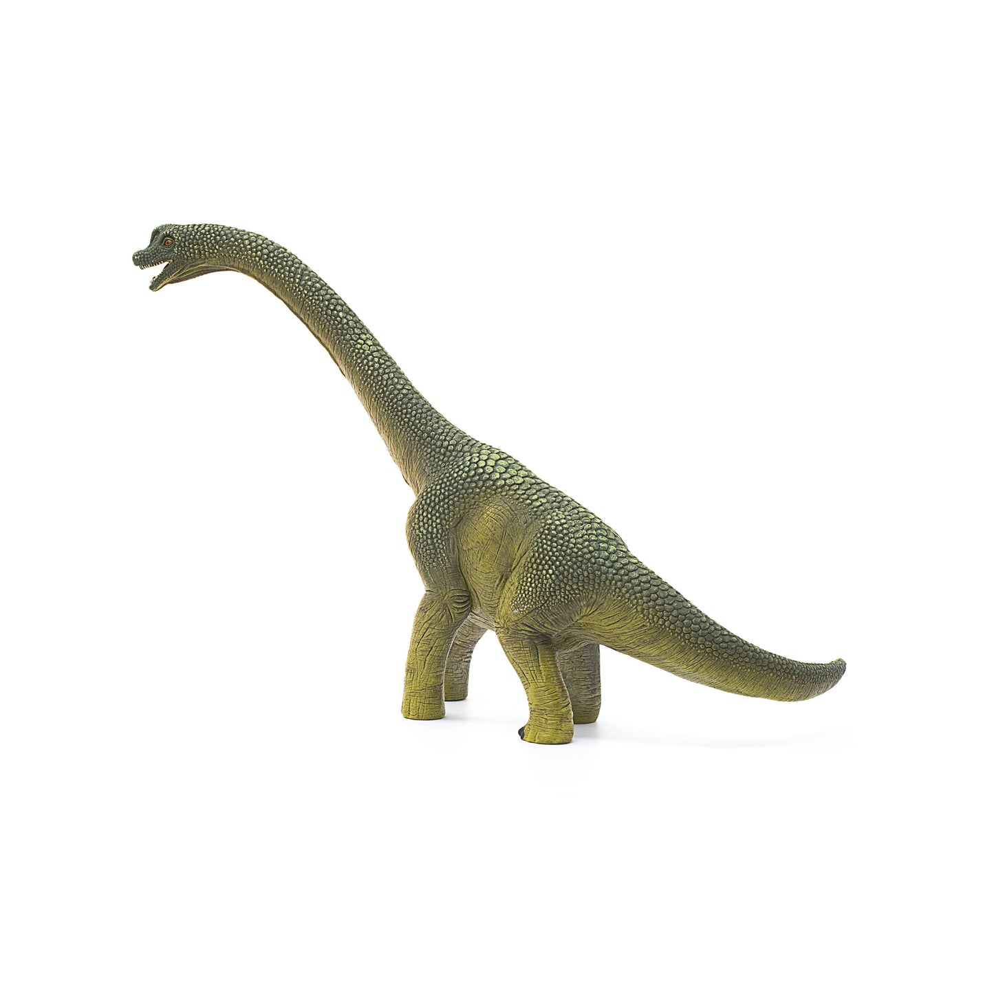 Schleich - Brachiosaurus Realistic Dinosaur Toy