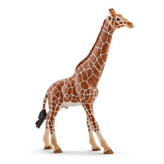 Schleich - Giraffe, Male Safari Animal Toy