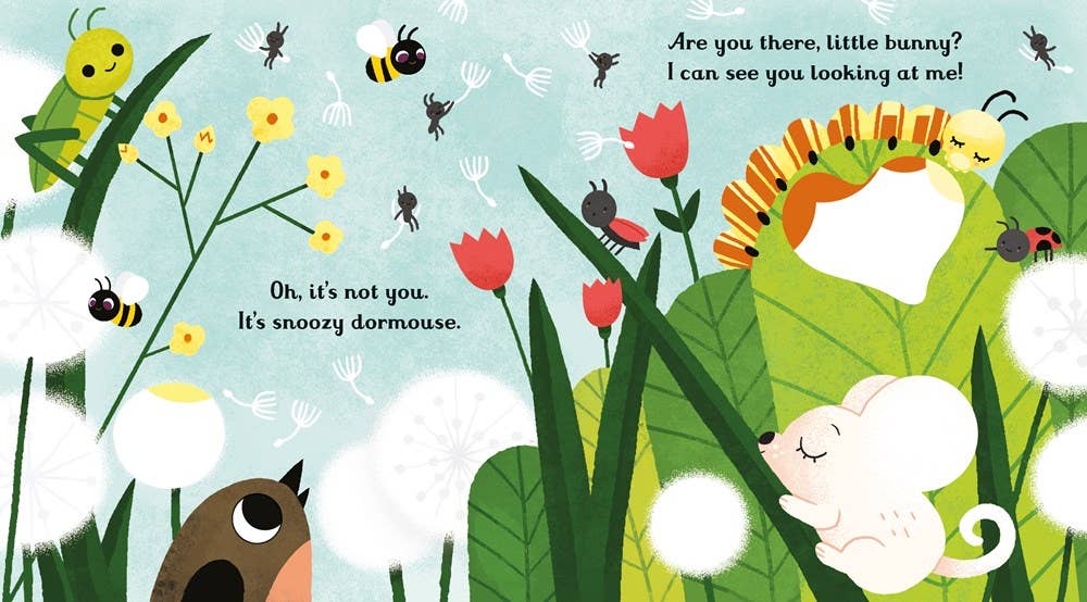 HarperCollins - Are you there little Bunny? board book