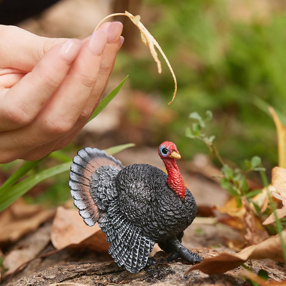 Schleich - Turkey Farm Animal Toy