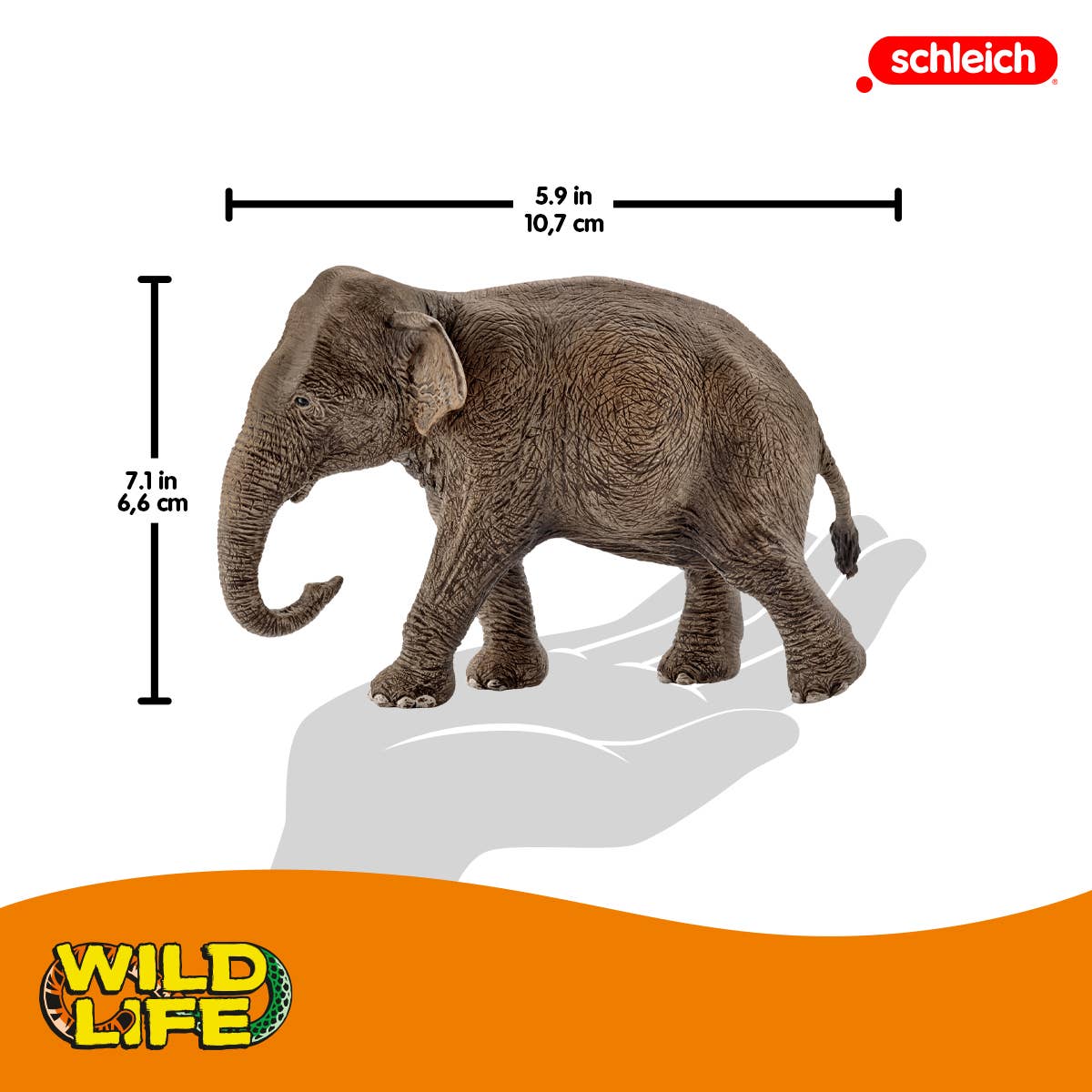 Schleich - Asian Elephant, Female Safari Animal Toy