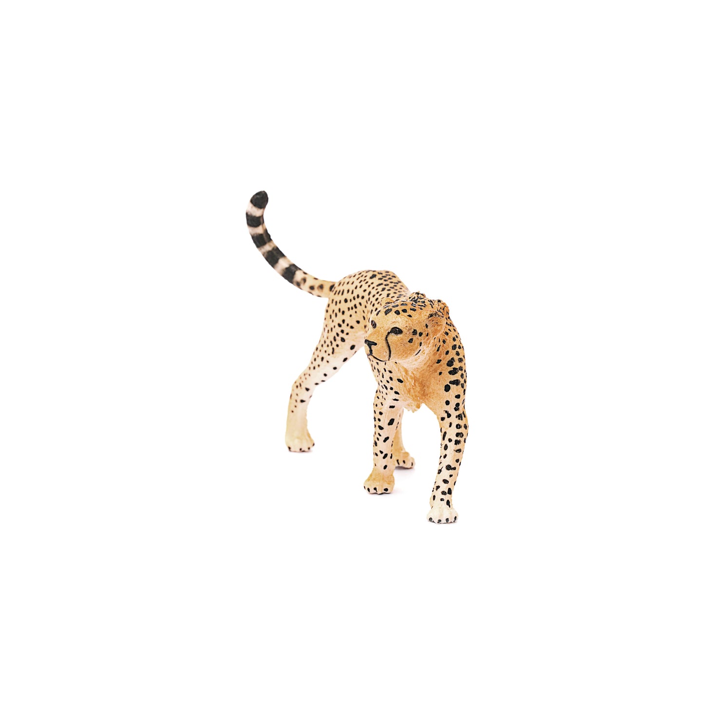 Schleich - Cheetah Female Safari Animal Toy