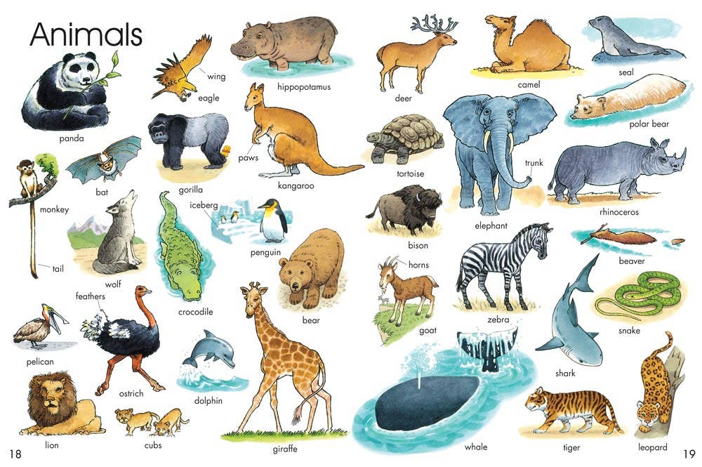 HarperCollins - First Thousand Words In English : Usborne