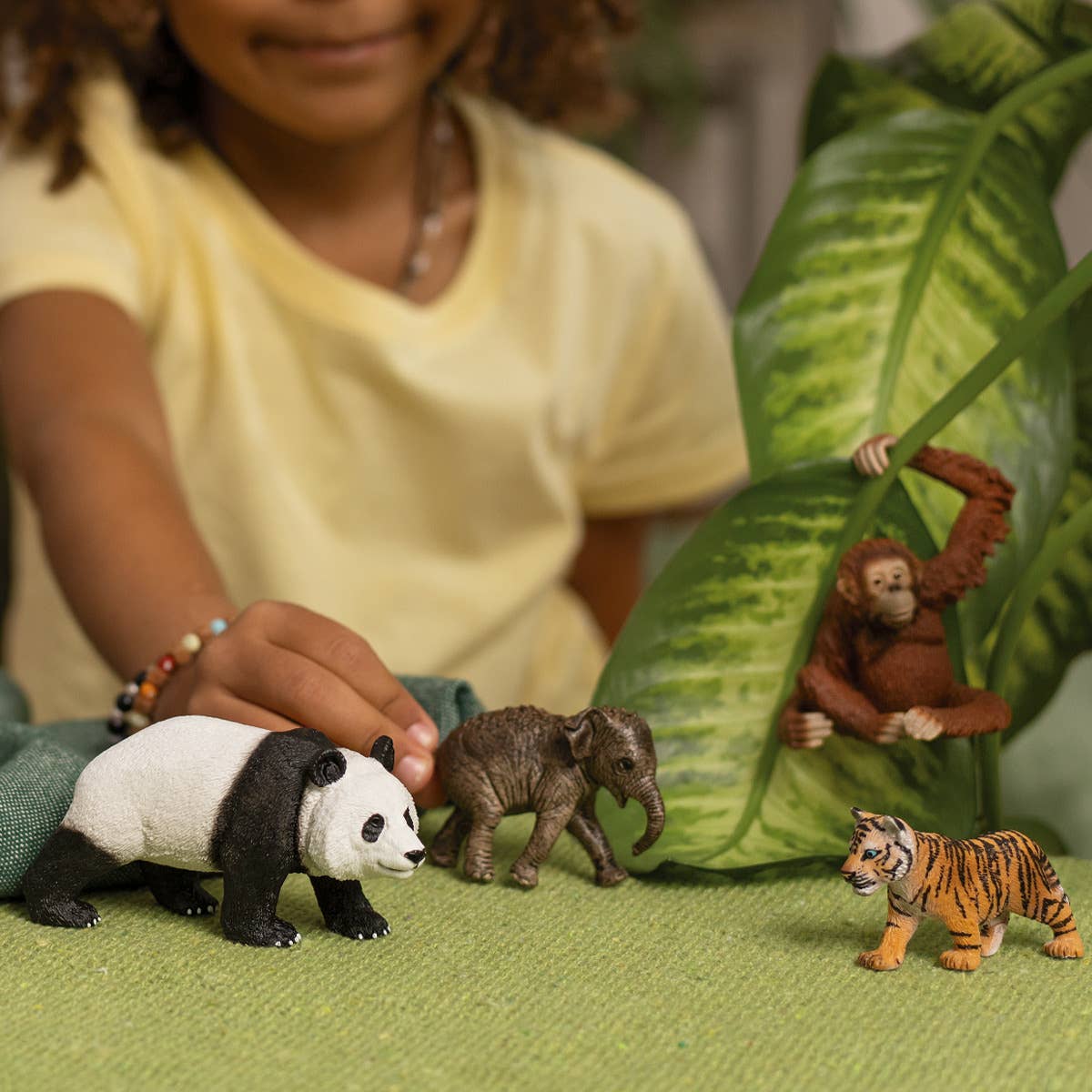 Schleich - Wild Life Asia Starter Set