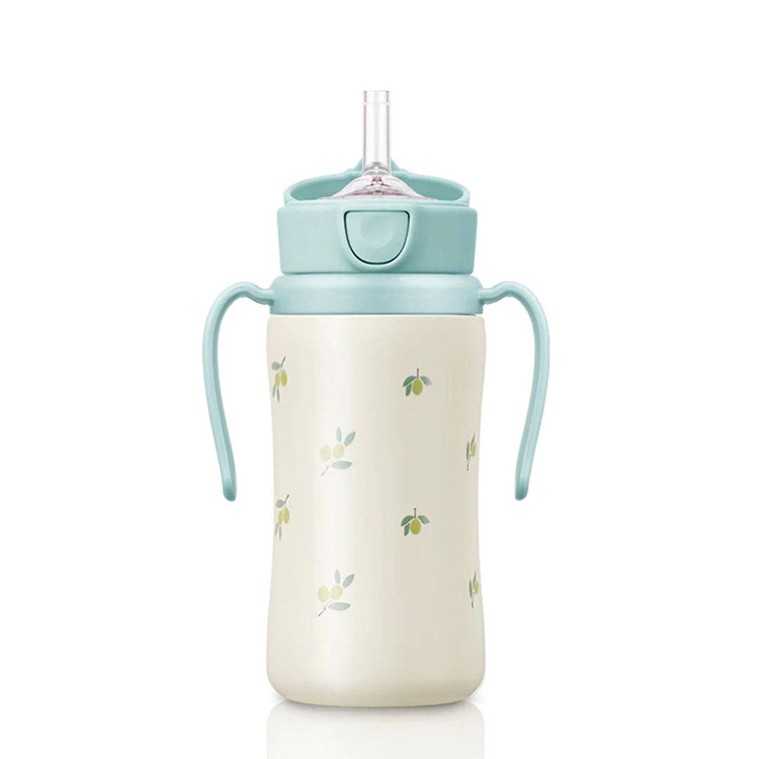 zezebaebae (Grosmimi and Cha&Mom) - Grosmimi Stainless Steel Straw Cup with Flip Top - 10oz (300ml): Air Balloon_Blue