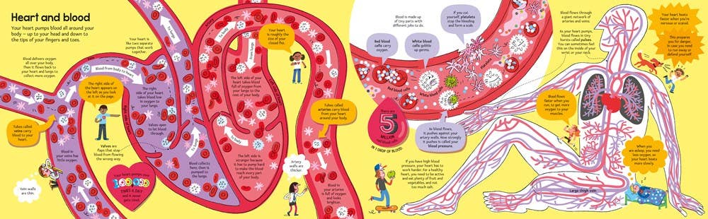 HarperCollins - Big Book of The Body : Usborne