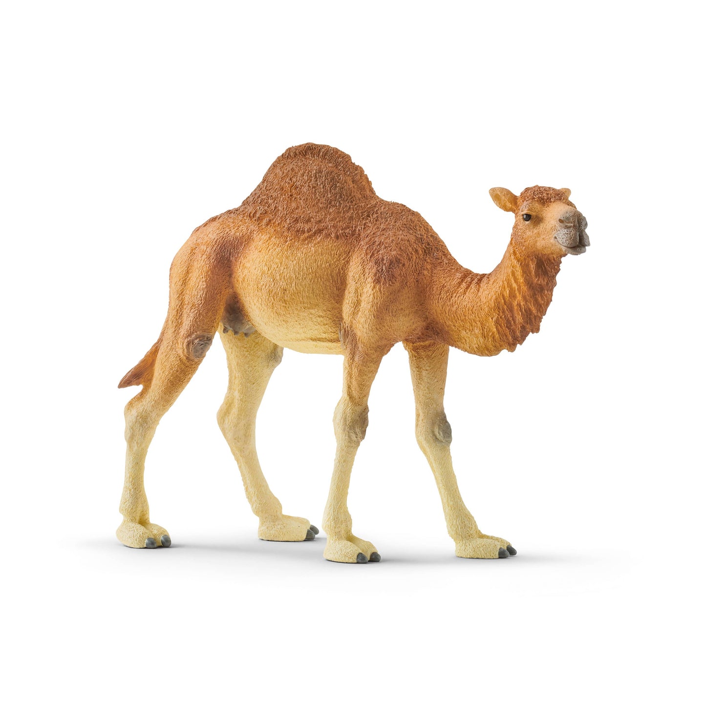 Schleich - Dromedary Animal Toy