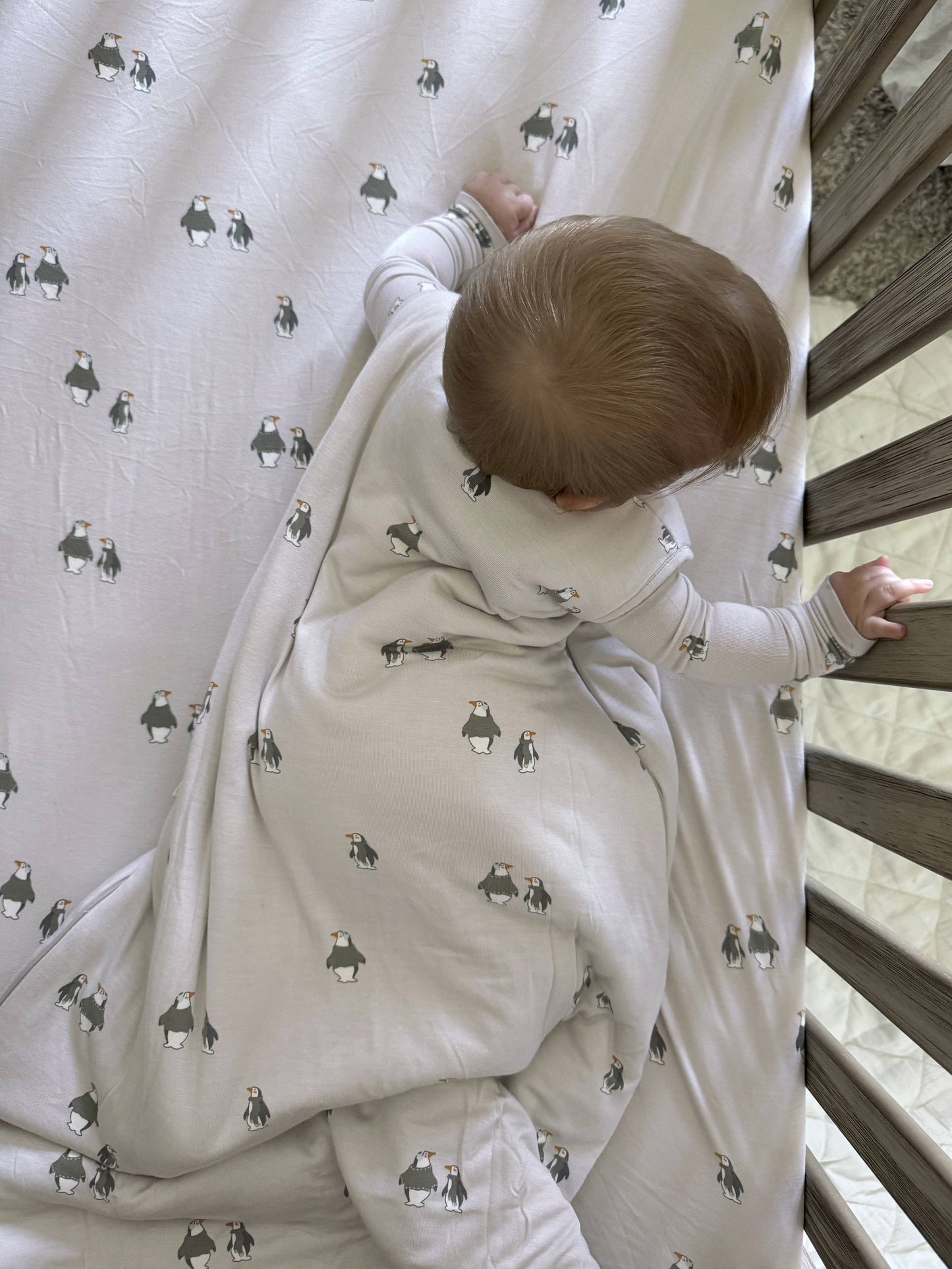 gunamuna - SLEEP BAG 1.0 TOG: Shine / 24-36 months / 1.0