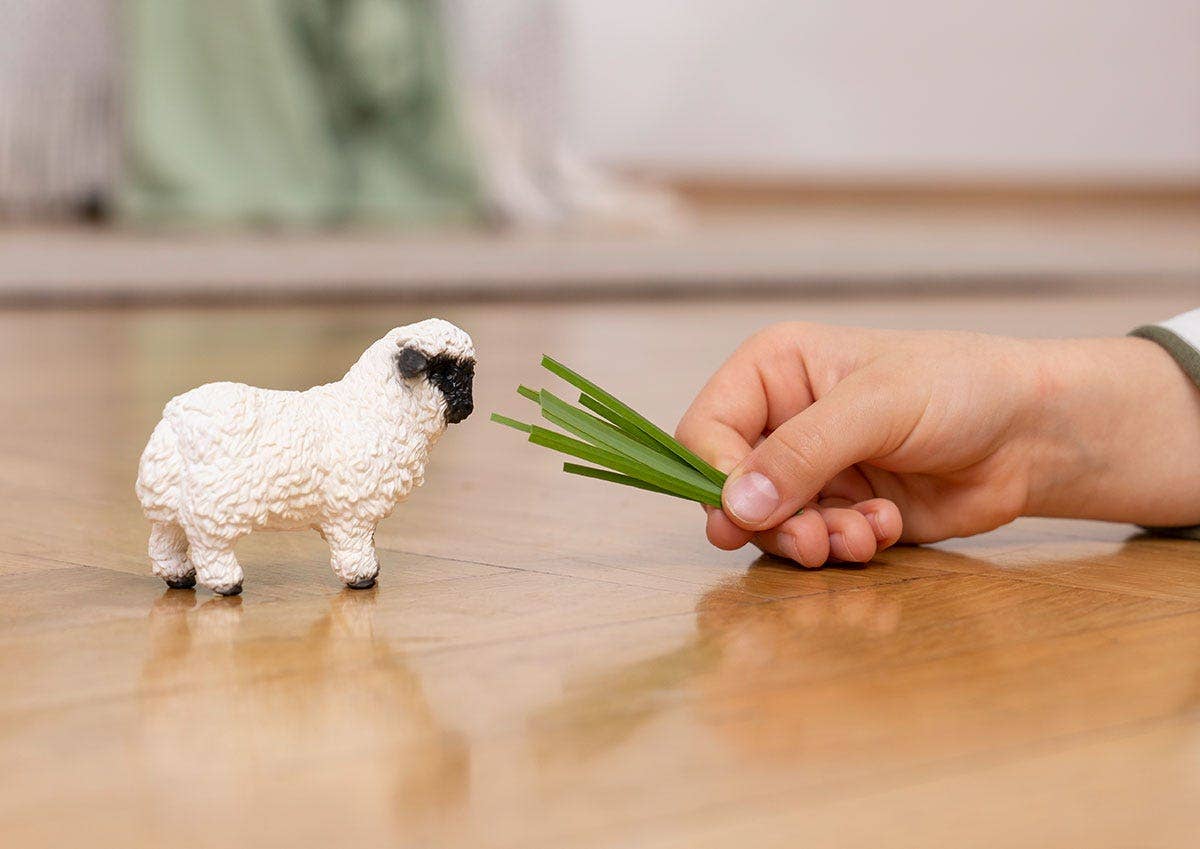 Schleich - Valais Black-Nosed Sheep Farm Animal Toy