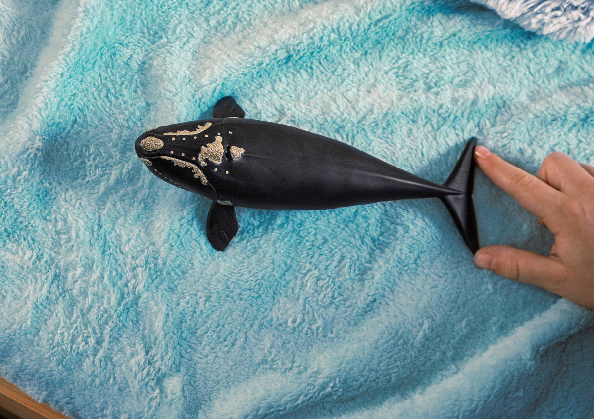 Schleich - North Atlantic Right Whale