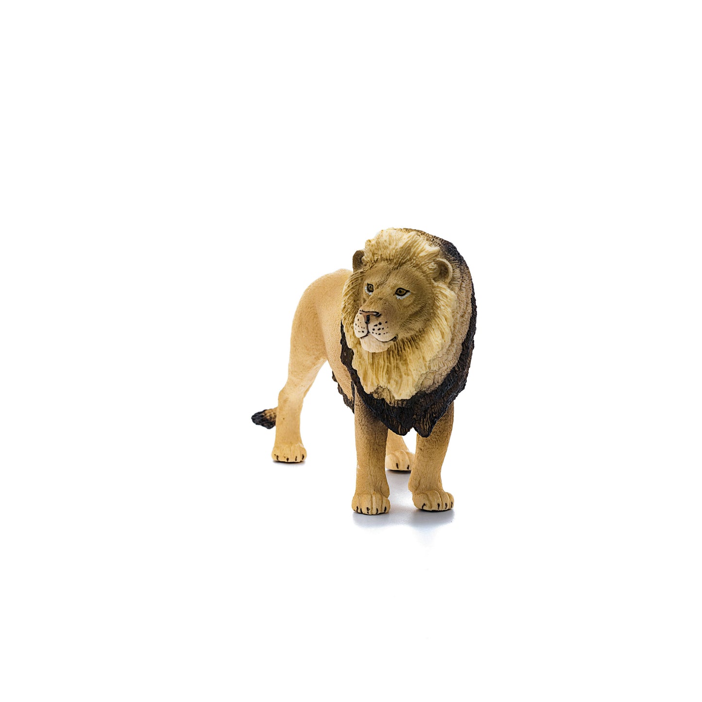 Schleich - Lion Safari Animal Toy