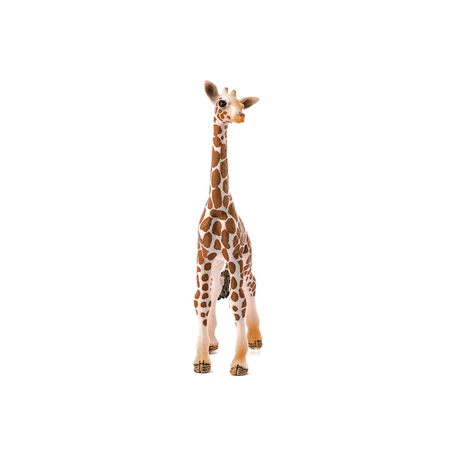 Schleich - Giraffe Calf Safari Animal Toy