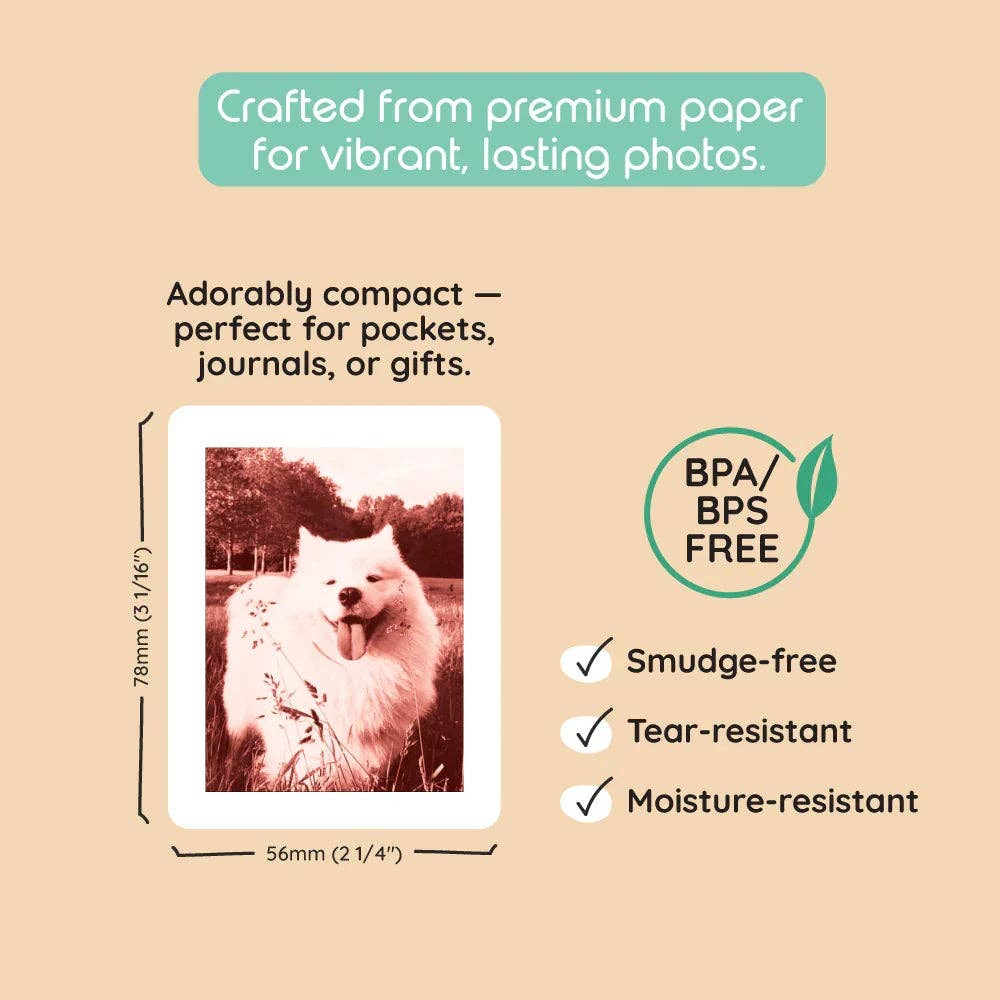 kiimento (formerly Kidamento) - Model P2 Print Pack｜40 Prints