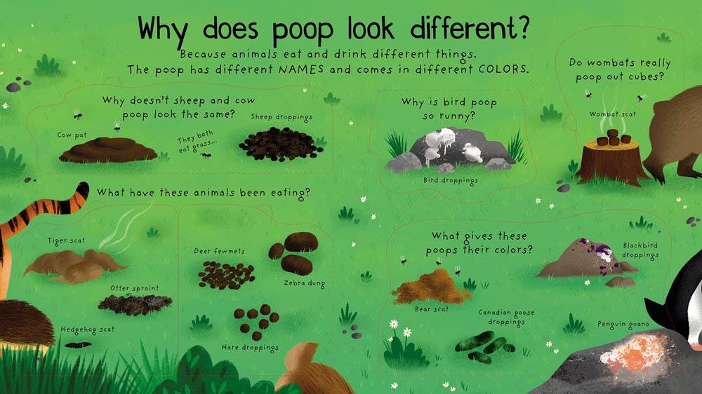 HarperCollins - First Questions and Answers: Where Does Poop Go?