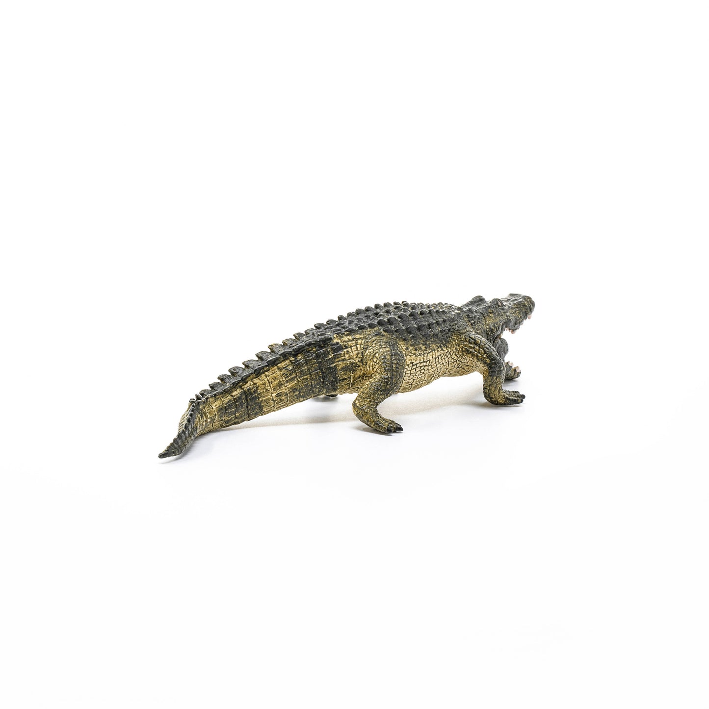 Schleich - Alligator Figurine with Movable Jaw - Detailed Toy Figurine